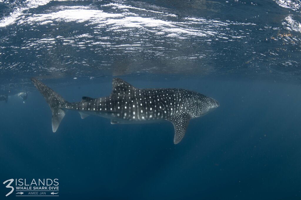 33b153cd-d5bc-4a6c-97a4-021bc8c2da9f