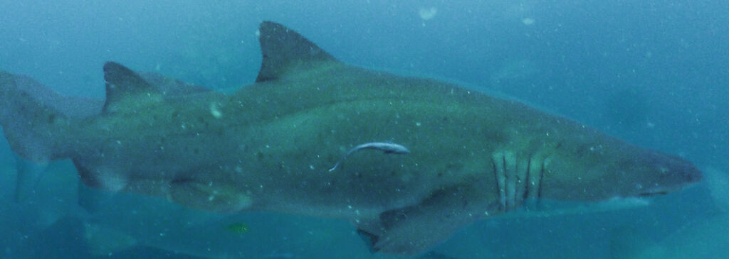 84804466-4284-48c0-b312-8518a84a5e4b