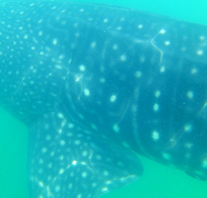 132aa094-db00-4b12-b9c5-17763a4c453d