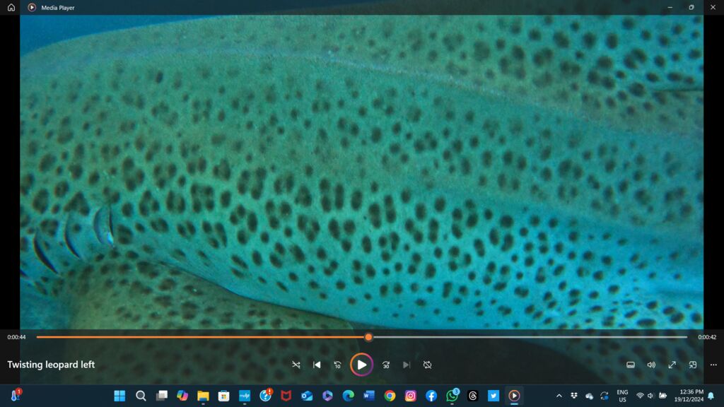 0f0b849e-5a13-4ce7-aef9-ef706d682c64