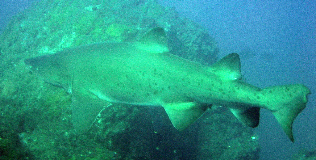 ab319bec-7c68-427f-8be0-b7863340860d