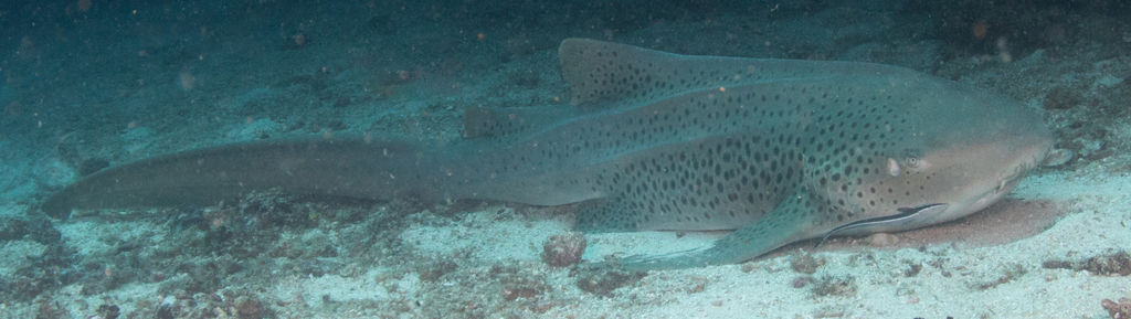 437aa328-2489-4d10-ba15-3eb7418ad408