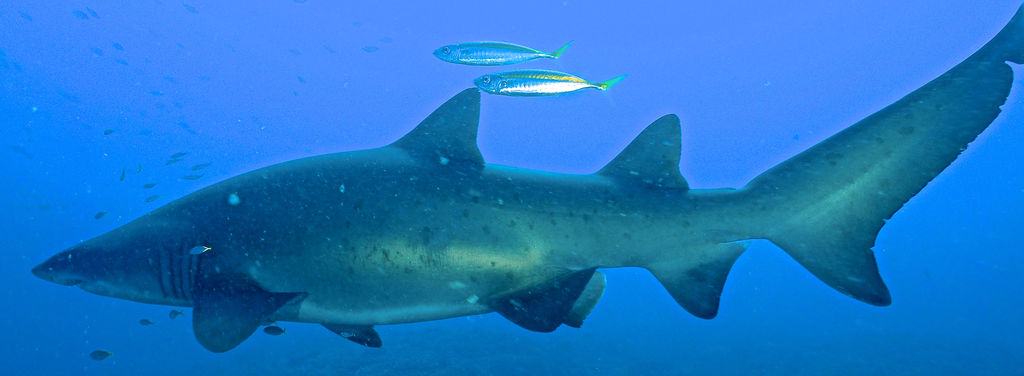 c33e1f57-6f51-41ef-b9e5-dfb3a1124bfd