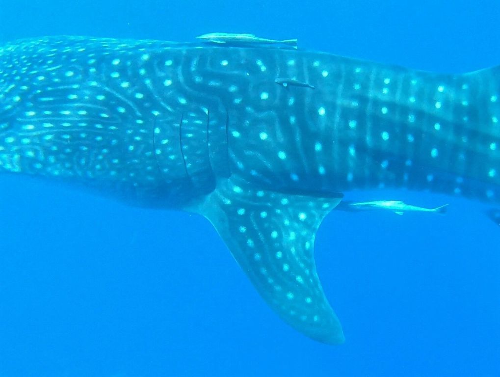 9c9b921d-3a96-4153-9692-af6600e72d74