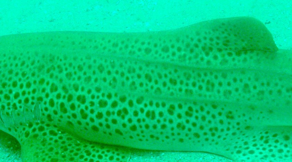 4e248b70-d123-47ea-8ab5-0f8969b3928d