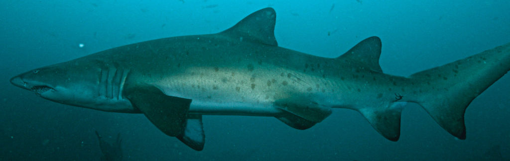 db78e344-f1fa-4e1f-a8c0-9ff21c7044a0