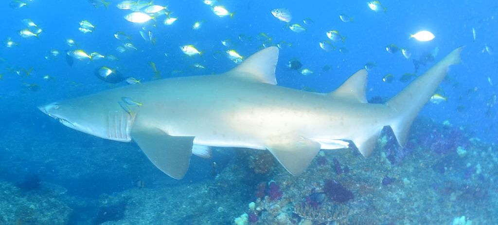 dcfd9883-fffd-41ca-8612-9e57df884228