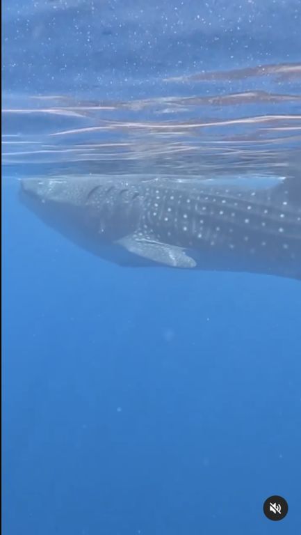 2bbd7698-320c-4592-beb4-0cb51532b0b0