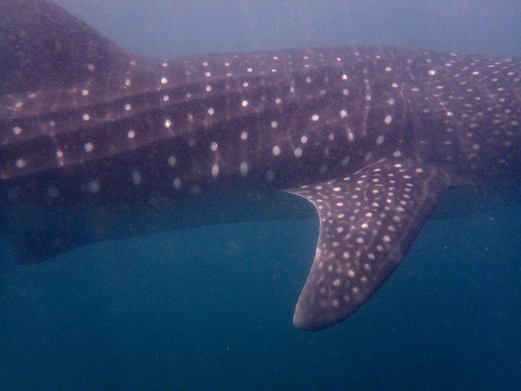 922ab612-03de-4dab-8f61-dbaf469250d0