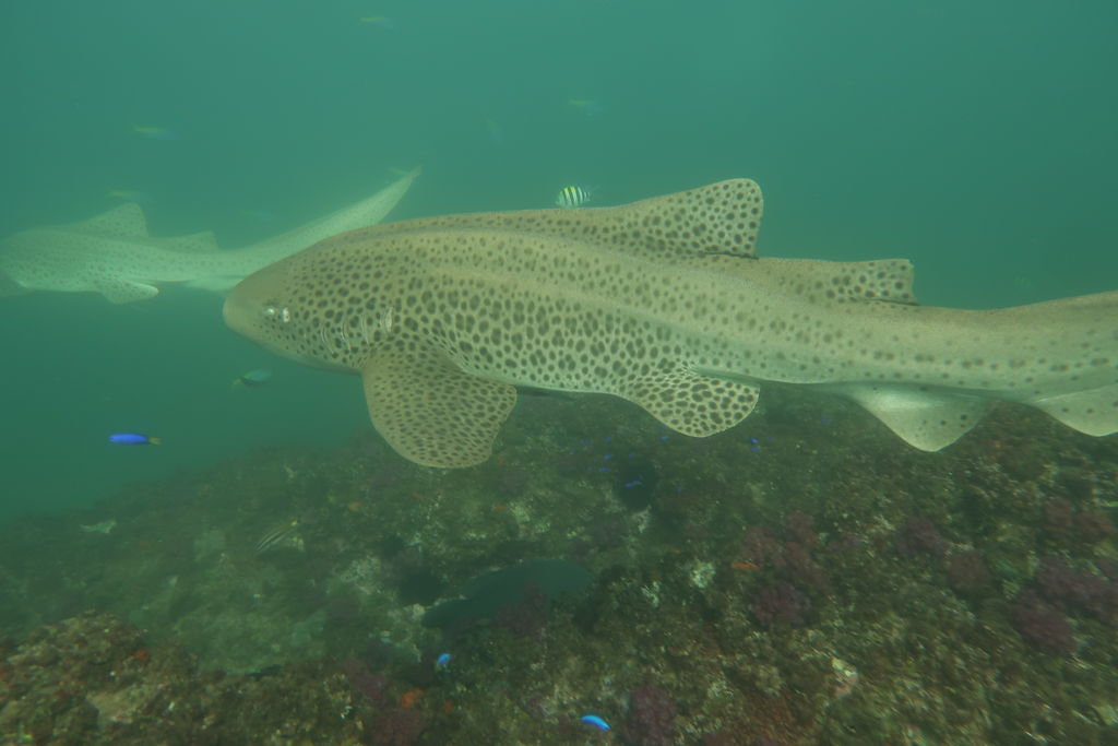 a13f2ac7-478b-43b3-87ea-4631171600e8