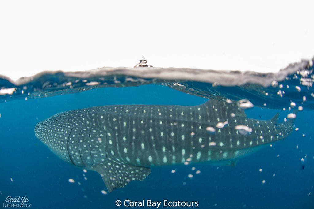 5e49100d-2fcf-4366-971c-6e5bd6120b2a