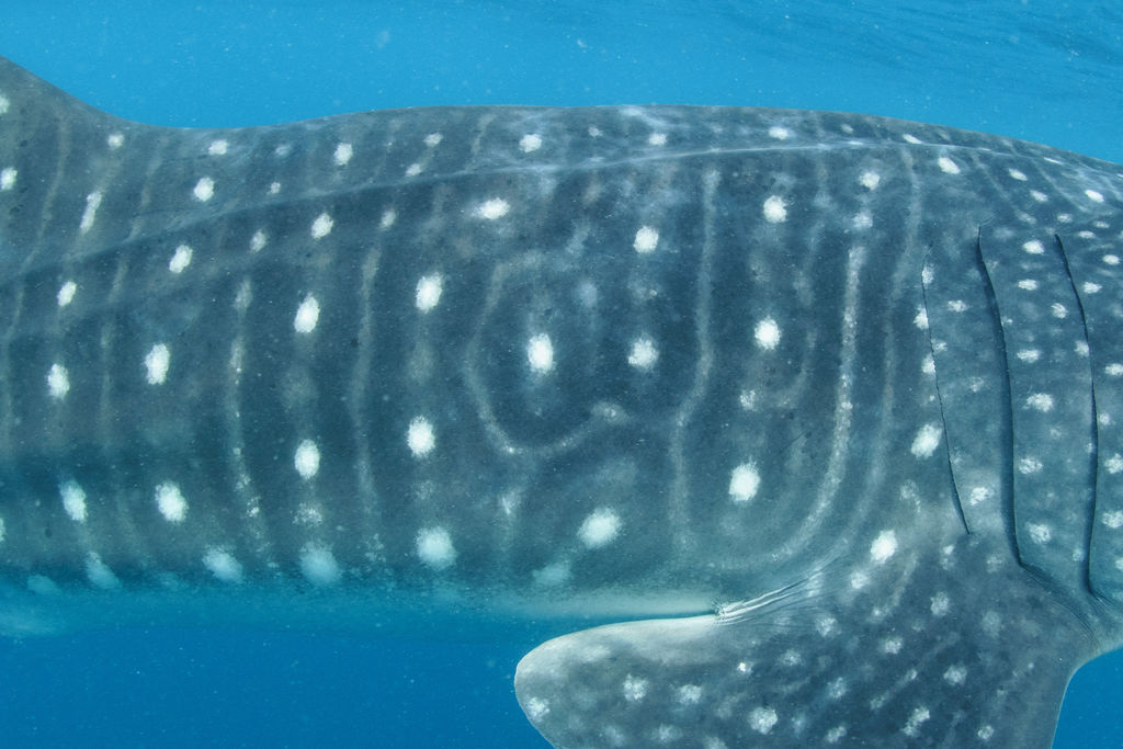 15ff5e01-68d3-477b-9f5d-2ef26940d8ae