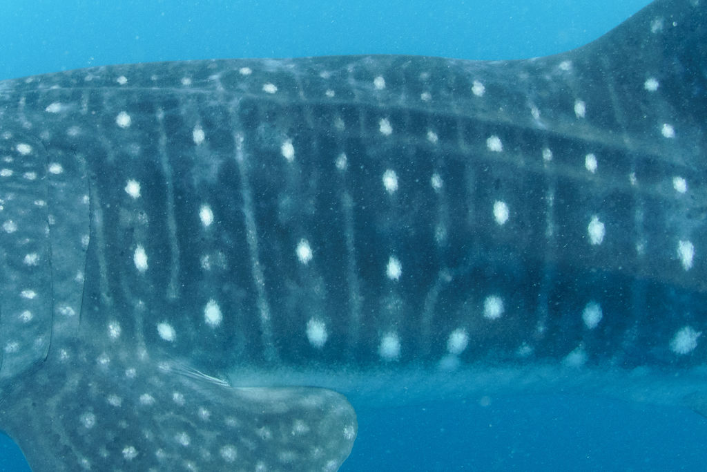 15ff5e01-68d3-477b-9f5d-2ef26940d8ae