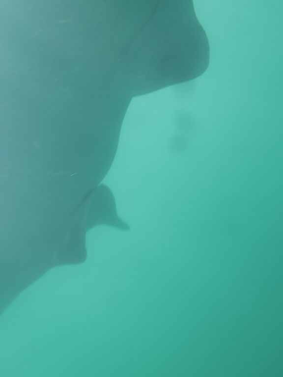 ceb830d8-7417-478f-94ca-8d5579b525be