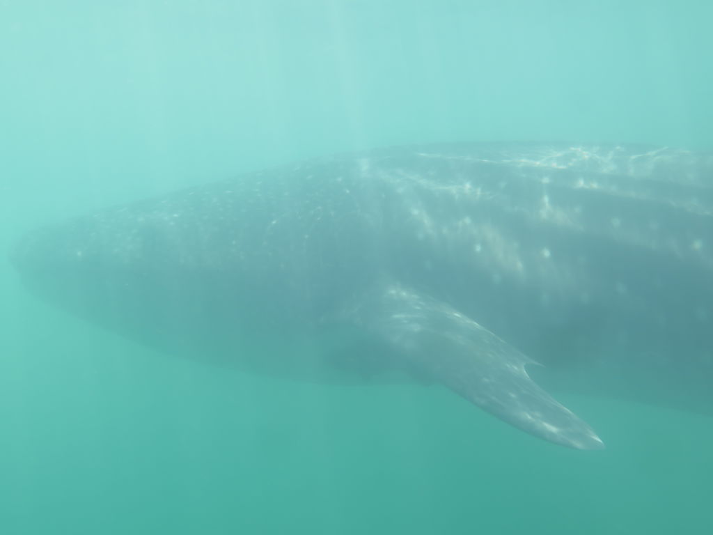 ceb830d8-7417-478f-94ca-8d5579b525be