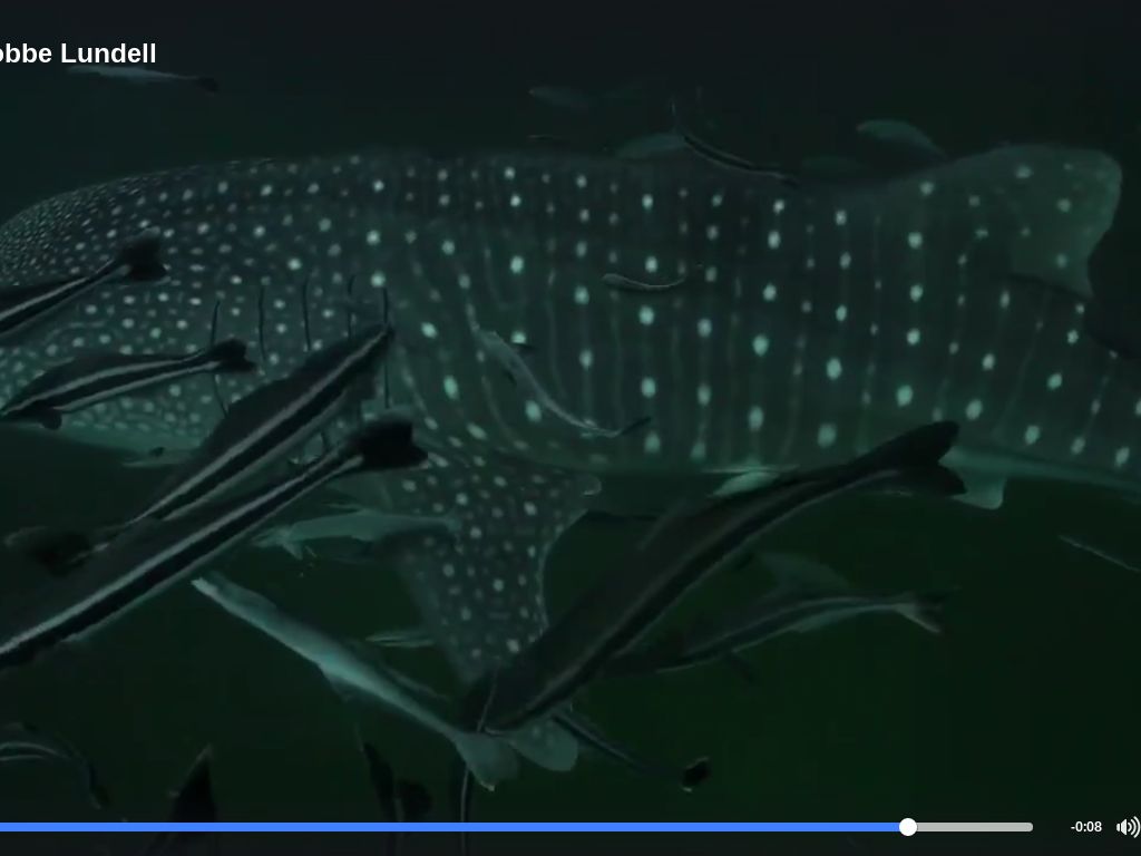 815882d2-8ada-42c2-b036-53d63aa1a9f8