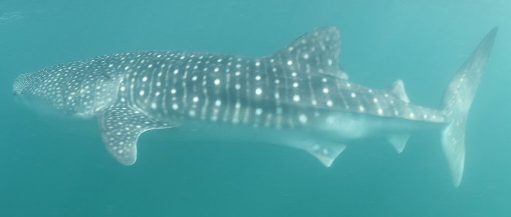 0734e566-0614-4241-b908-4a92cb6c464f