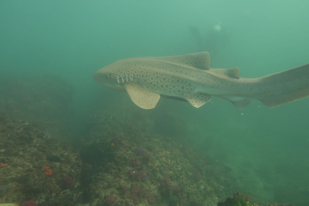 69ebc8ec-b973-45d0-a7b5-223e78fbc76f