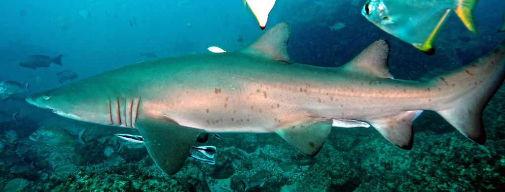 b9848591-6be2-4b19-8471-a8d68eb1a7d9