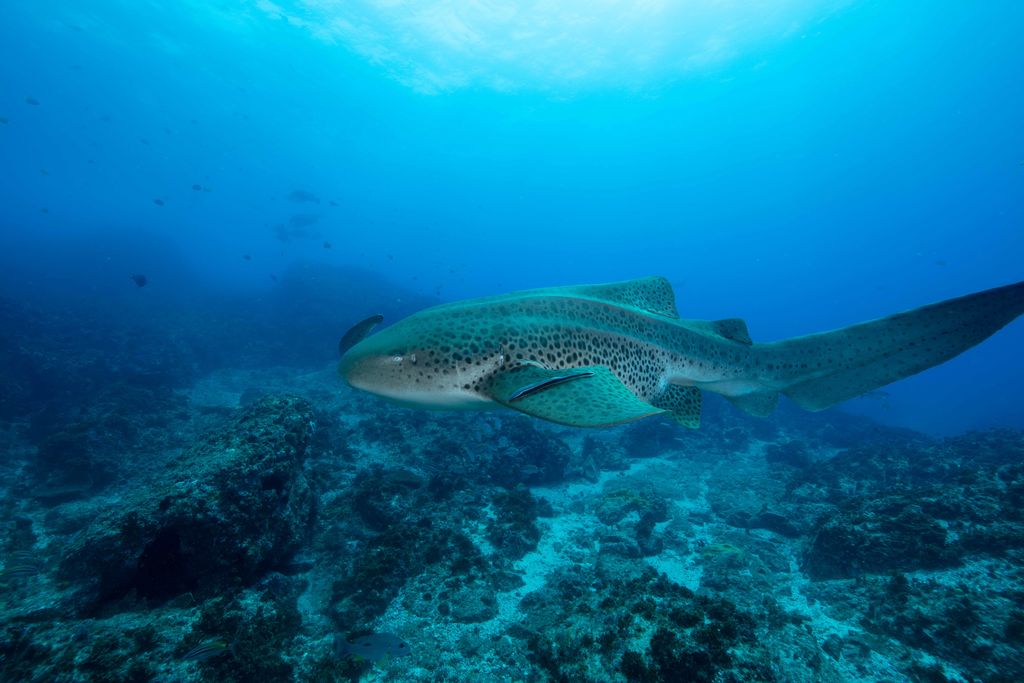 def160d5-53cc-4c7c-95cd-6ca48154bae2