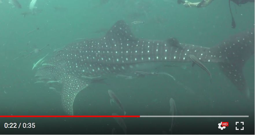 4ae7c08d-50d8-4015-ba68-7f82852c6d74