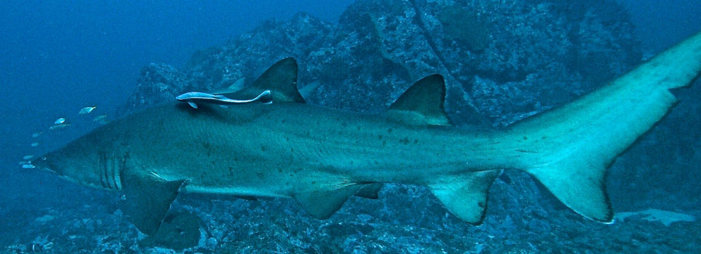 566513bb-342e-4df7-9221-83288d793283