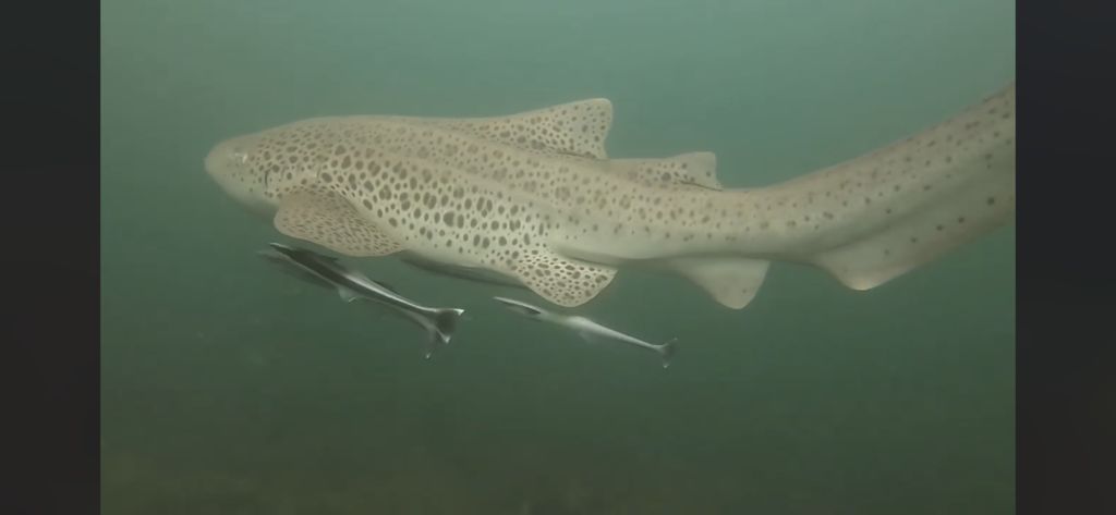 11346cd1-655a-4f96-8df8-ec9d73961b28