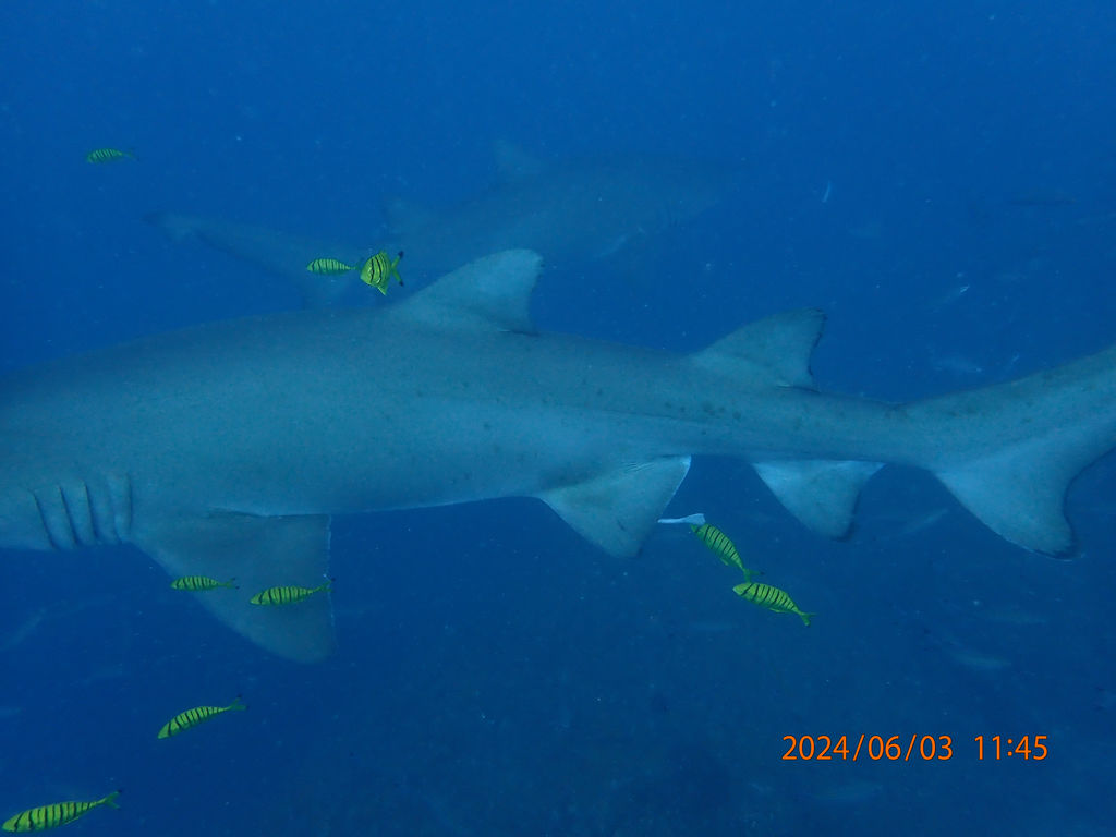 06803384-125b-4e6b-a8e0-639bbf0fe87a