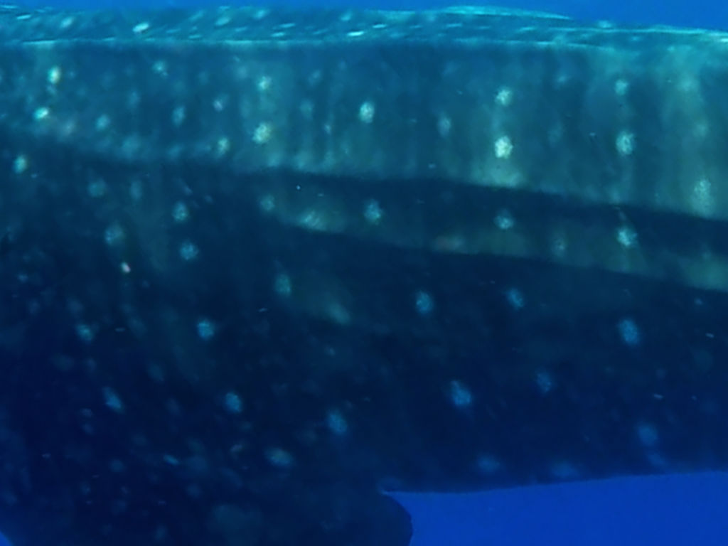 7eb4aff2-d7a7-412b-8b10-21f73e1a35c9