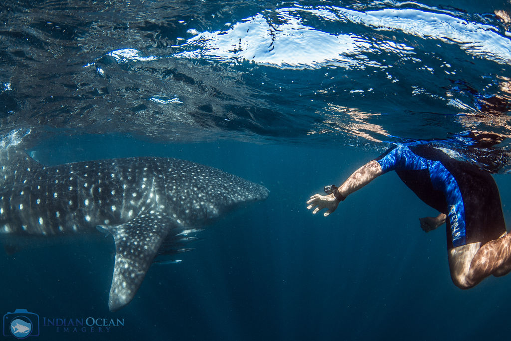 17405f23-0cd0-4857-9681-7ec9a682888c