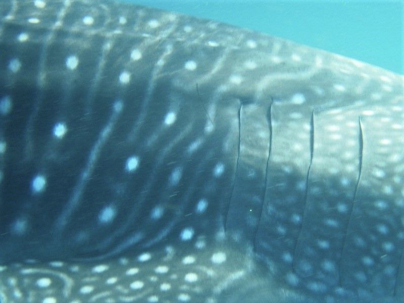 5fb0c540-abf3-479c-812f-b5a71fbca4c6