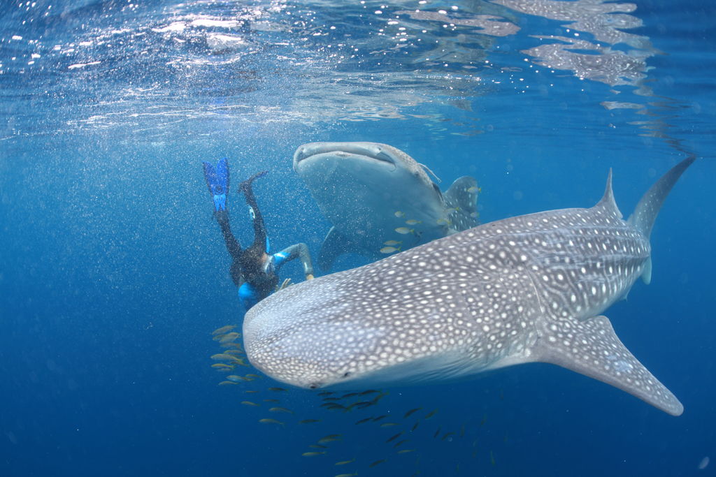 3c96d987-a85b-48c4-92bb-c40b2461701a