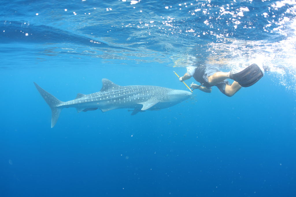 3c96d987-a85b-48c4-92bb-c40b2461701a