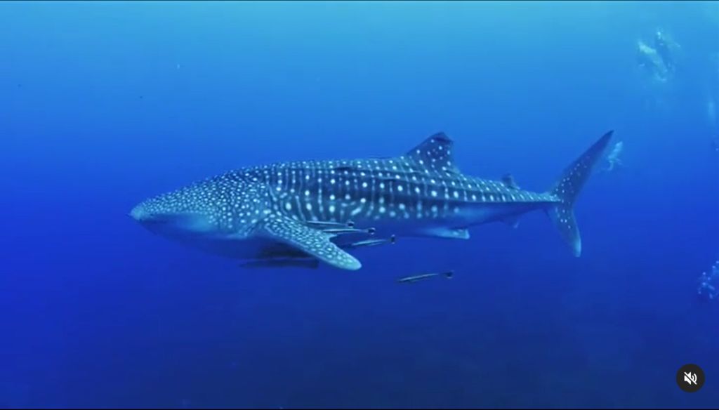 b30d78f7-007b-4222-9888-1519aff794bc