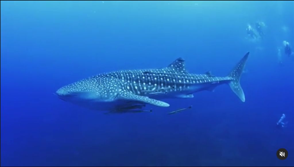 b30d78f7-007b-4222-9888-1519aff794bc