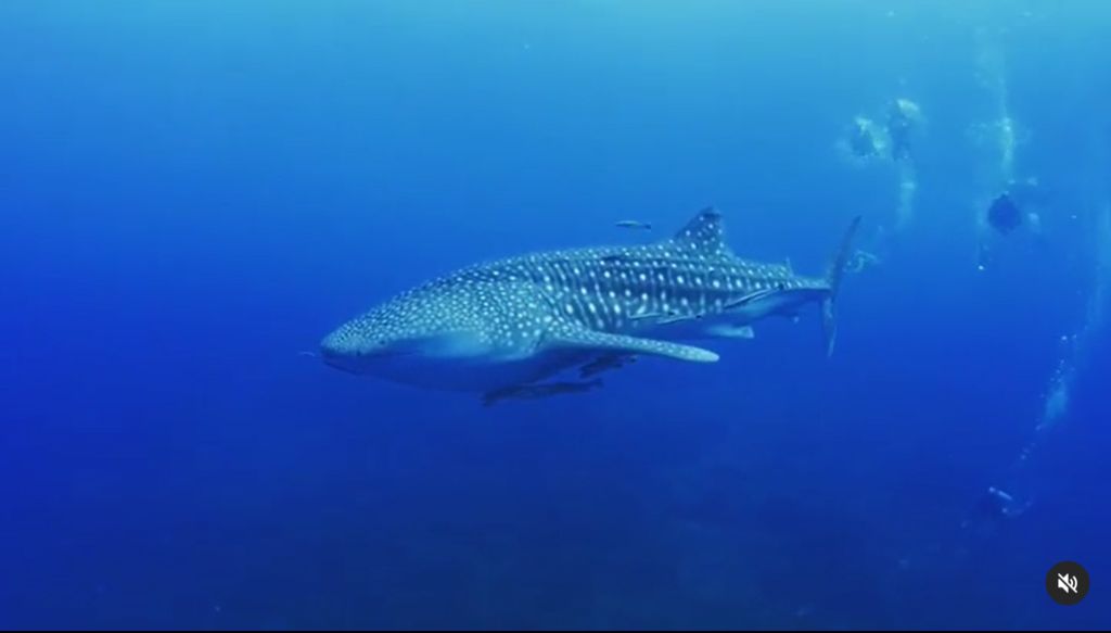 b30d78f7-007b-4222-9888-1519aff794bc