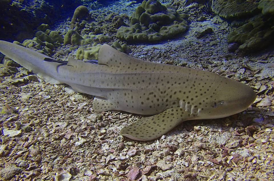 4c031ae7-0fb2-4e8b-87ab-553b5151b02c