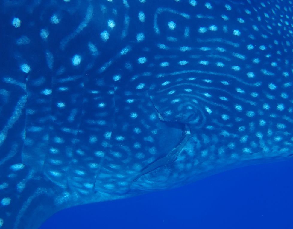 7bc430a7-331e-40f2-8f3b-25f41c65f59c