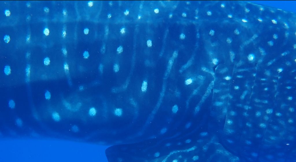 7bc430a7-331e-40f2-8f3b-25f41c65f59c