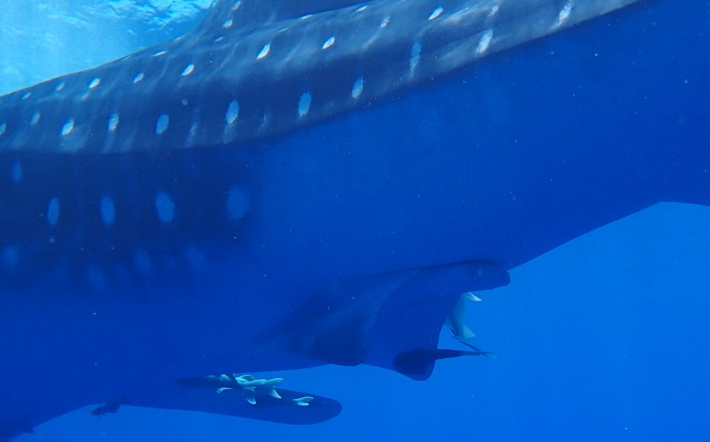 7bc430a7-331e-40f2-8f3b-25f41c65f59c