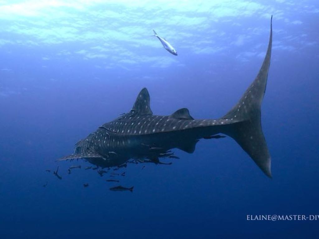 433cc97d-03c6-448a-8721-b86ab01f801d