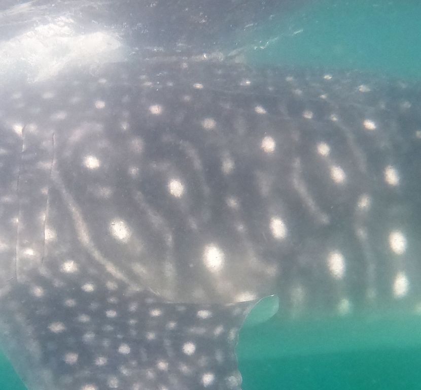 df271328-3071-420a-b296-a387b9f52c84