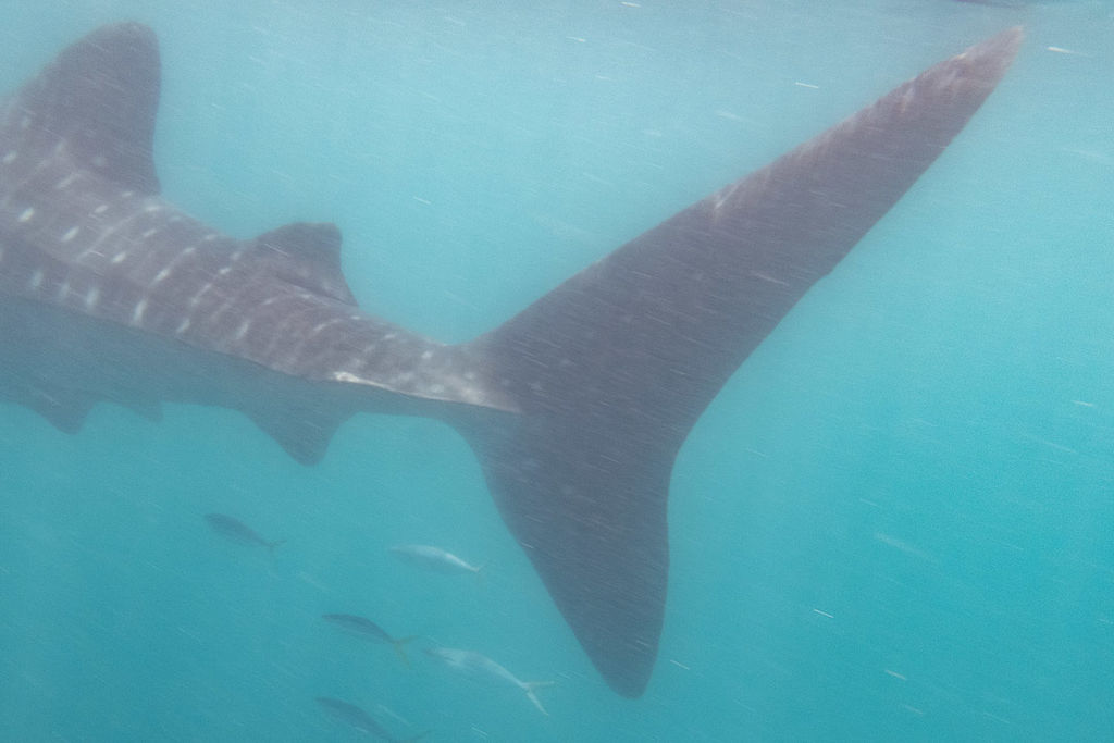 7a692703-f84f-4c0f-b16a-3082f82ce8d5