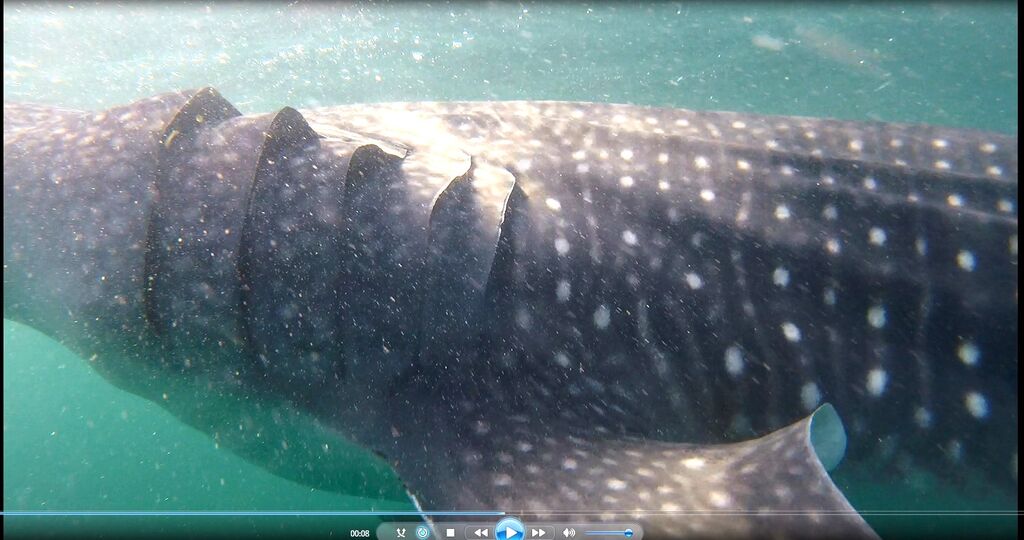 501a66de-03e2-410f-9da4-87c7fc814ab5