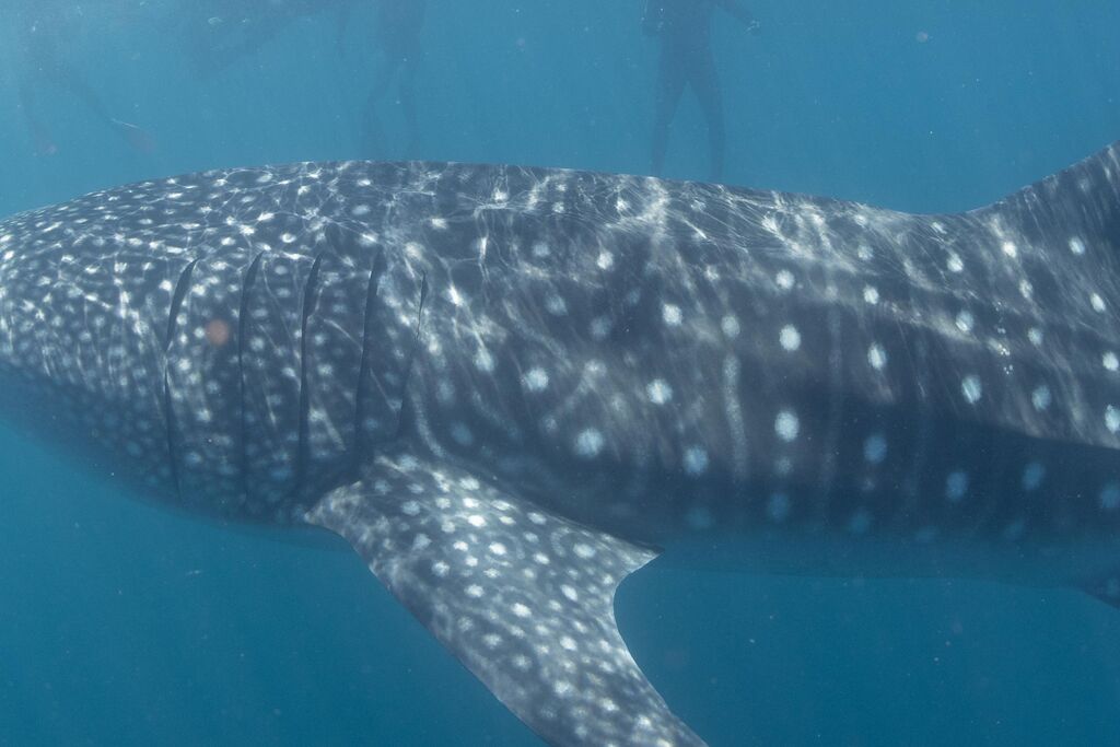 e1b6dda2-5dc2-46dc-9a6c-2a2d3001b7e3