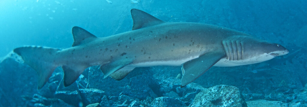 048d6636-d838-401b-9dba-44c3d76cb261