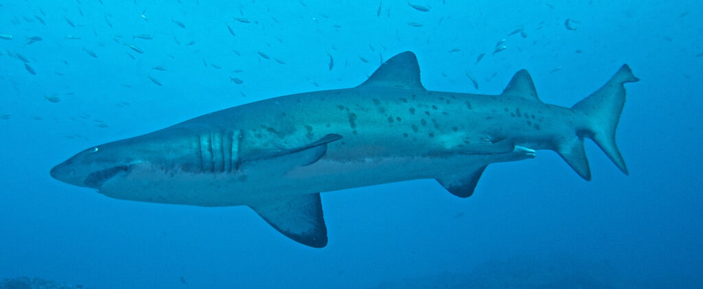 303c40a2-7c76-4c6c-ad53-c4a00d73350c