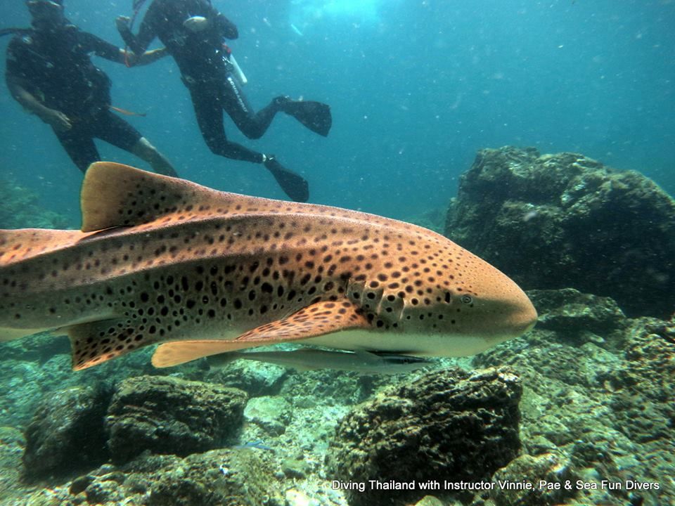 723024b9-fae2-4b3b-afdc-85f069cfcd8a