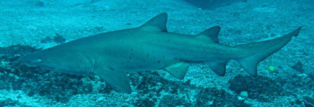 e6cdae39-38bd-4df7-adfb-cd1d679336cd