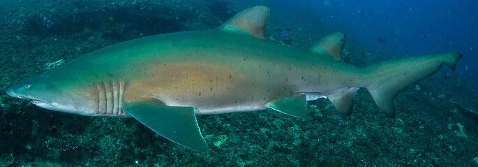 84eca52b-c021-4618-a94b-64c6df8587d3